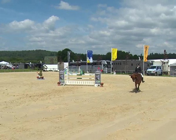 Reitturnier Detter 2016