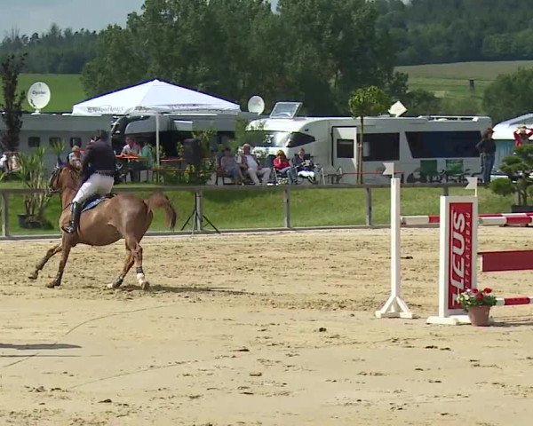 Reitturnier Detter 2016