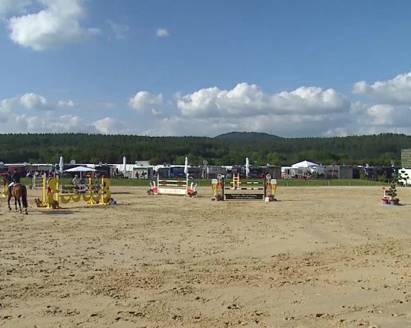 Reitturnier Detter 2016
