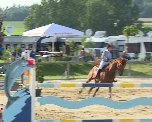 Reitturnier Detter 2016