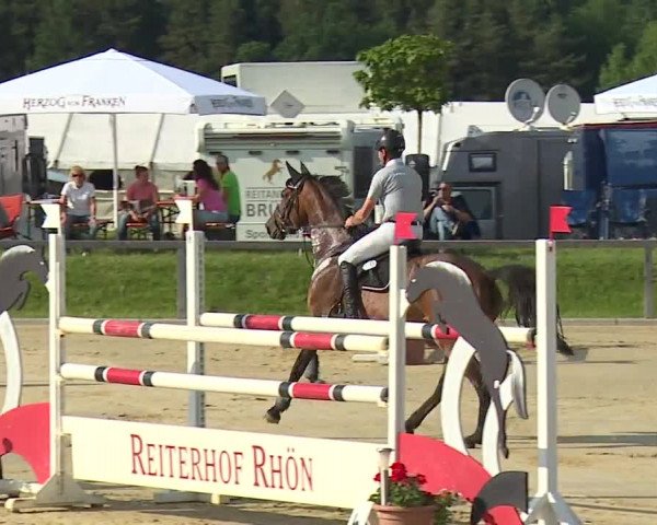 Reitturnier Detter 2016