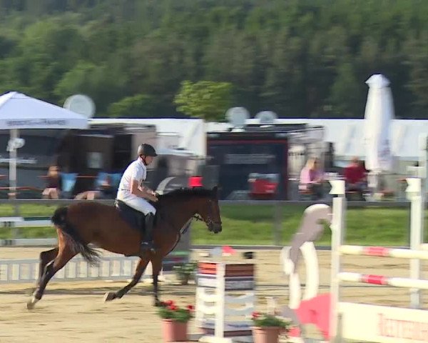 Reitturnier Detter 2016