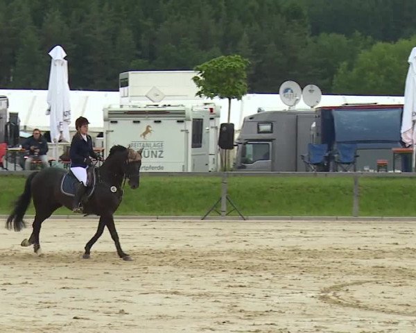 Reitturnier Detter 2016