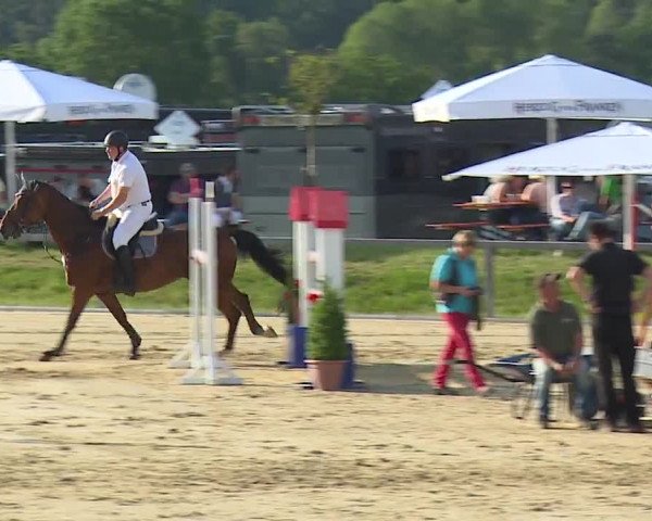 Reitturnier Detter 2016