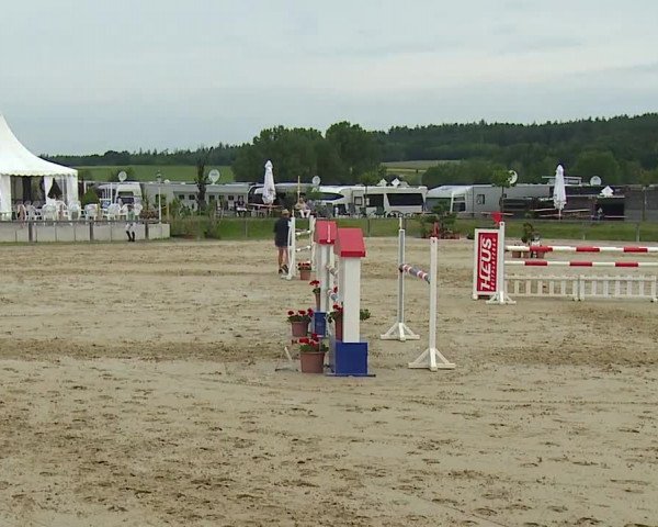 Reitturnier Detter 2016