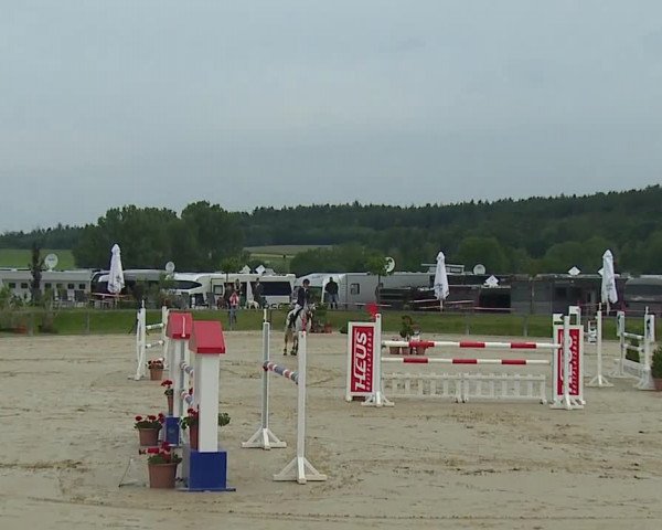 Reitturnier Detter 2016