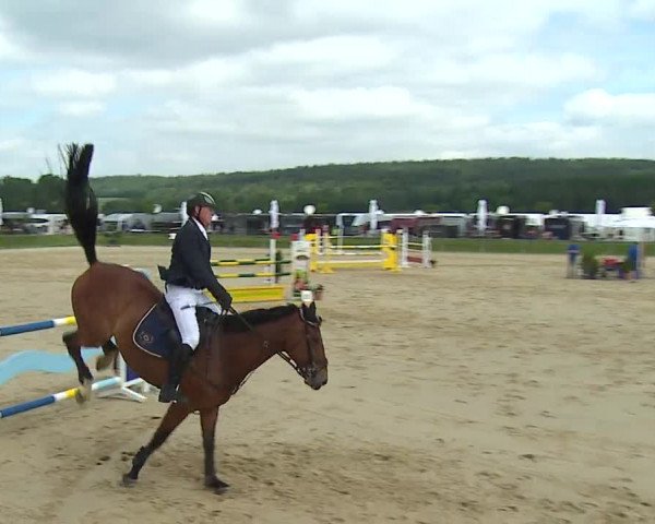 Reitturnier Detter 2016