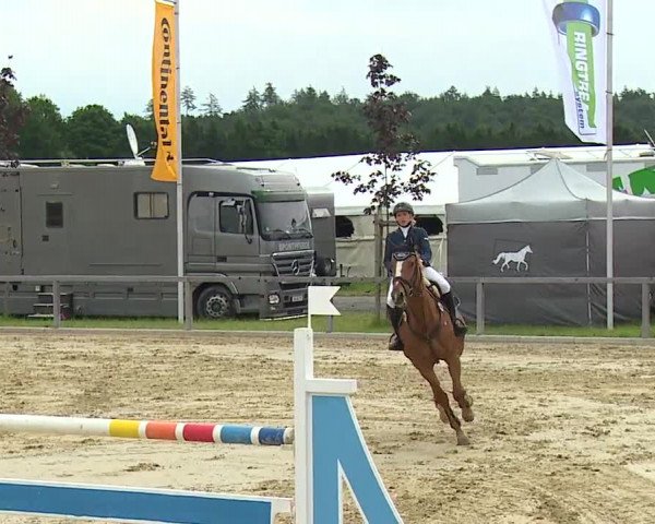 Reitturnier Detter 2016