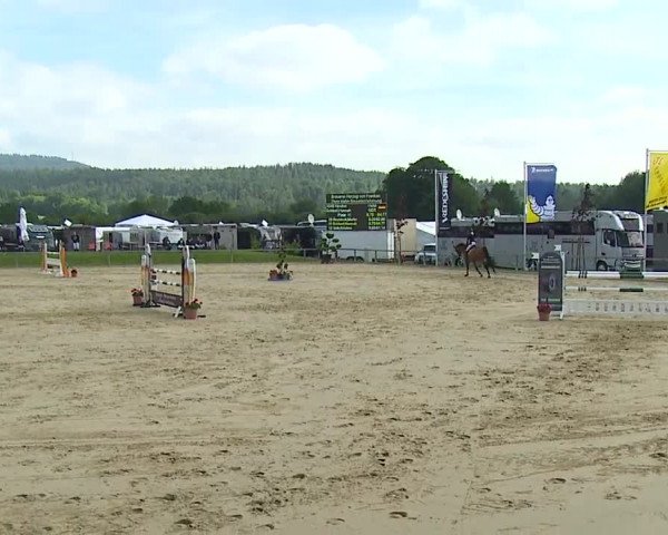 Reitturnier Detter 2016
