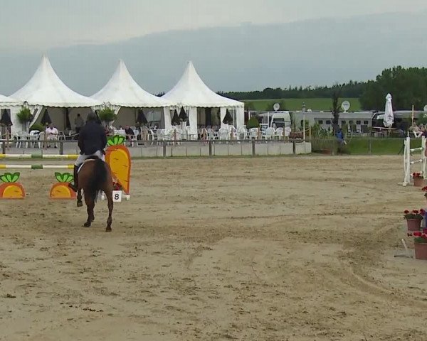 Reitturnier Detter 2016
