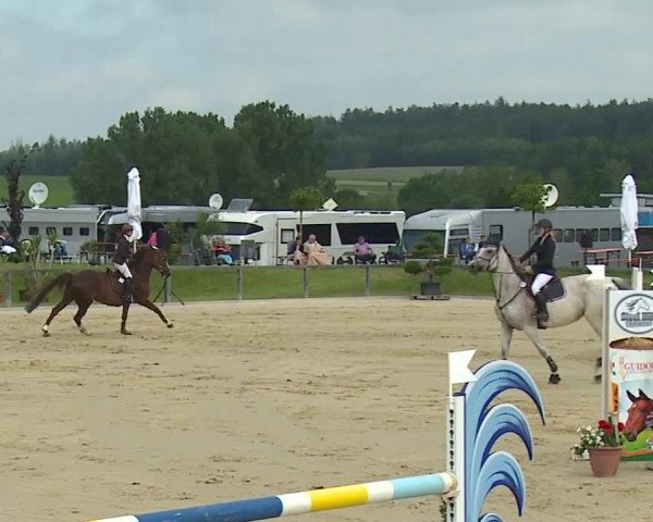 Reitturnier Detter 2016
