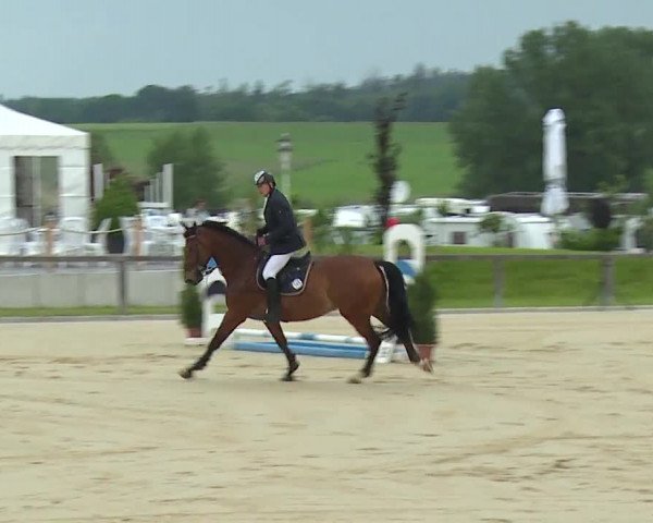 Reitturnier Detter 2016