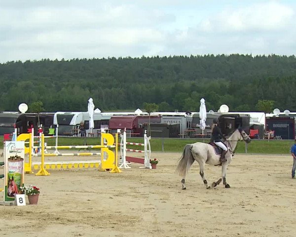 Reitturnier Detter 2016
