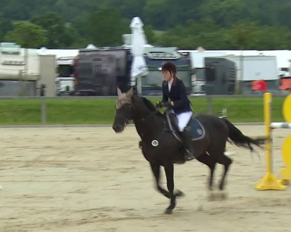 Reitturnier Detter 2016