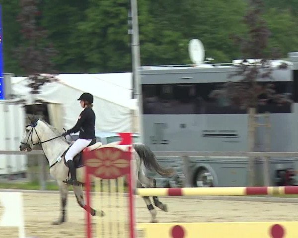 Reitturnier Detter 2016