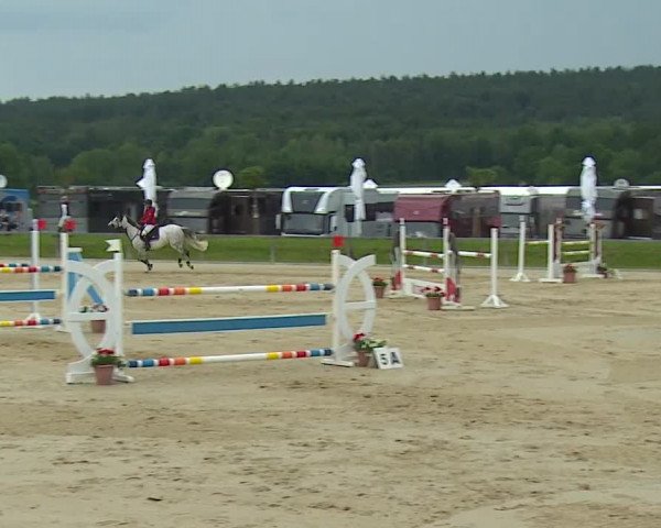 Reitturnier Detter 2016
