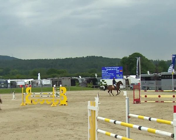 Reitturnier Detter 2016
