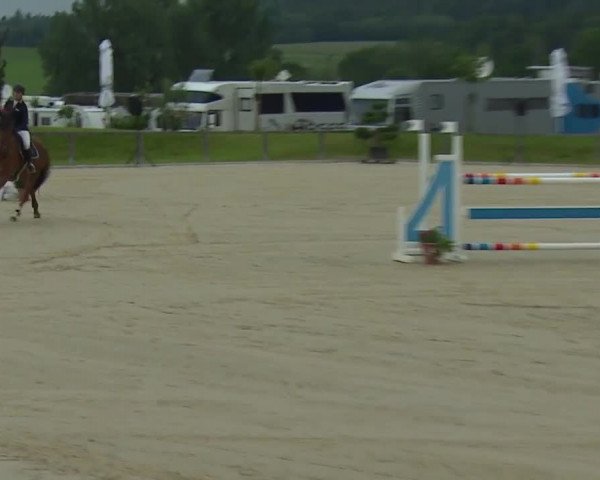 Reitturnier Detter 2016