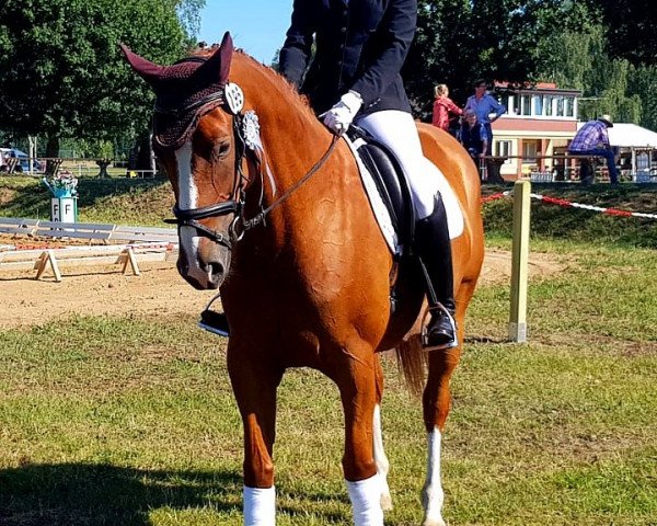 broodmare Donna Elvira (Hanoverian, 2013, from Dancier)