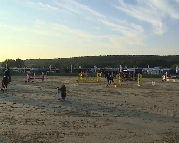 Reitturnier Detter 2016