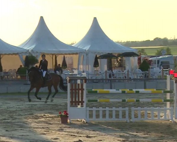 Reitturnier Detter 2016