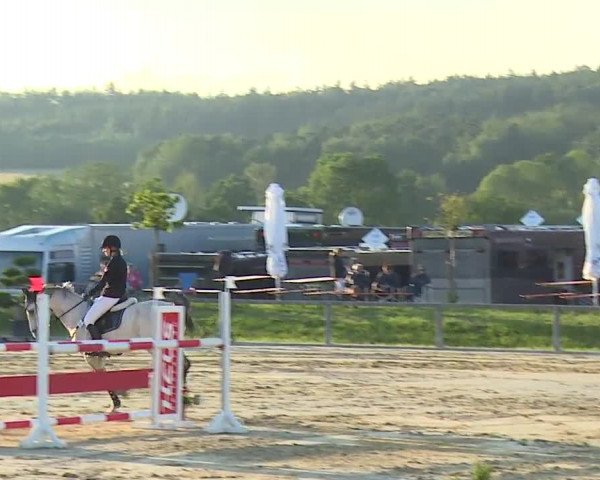 Reitturnier Detter 2016