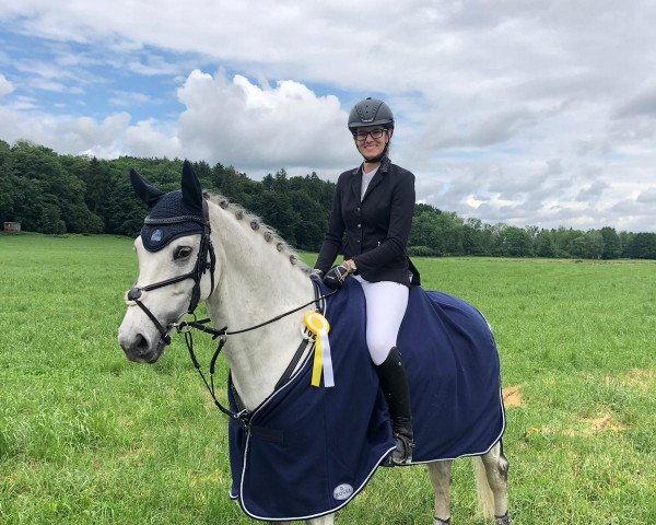 jumper Cornets Cholito (German Sport Horse, 2007, from Cornet's Stern)