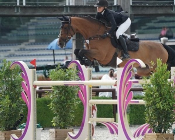 broodmare Dunotaire V (KWPN (Royal Dutch Sporthorse), 2008, from Numero Uno)