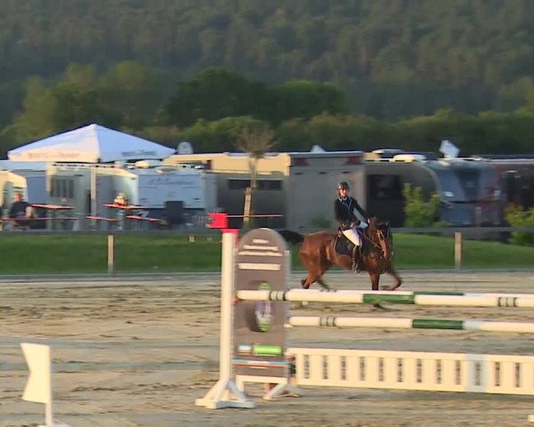 Reitturnier Detter 2016