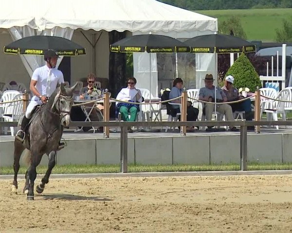 Reitturnier Detter 2016