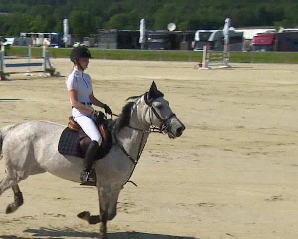 Reitturnier Detter 2016