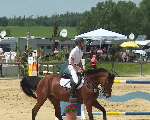 Reitturnier Detter 2016
