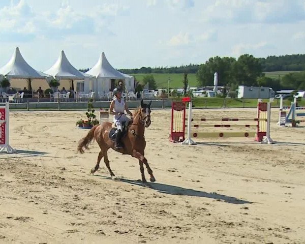 Reitturnier Detter 2016