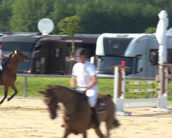 Reitturnier Detter 2016