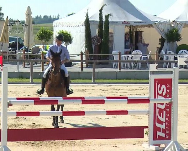 Reitturnier Detter 2016