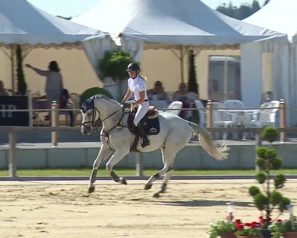 Reitturnier Detter 2016