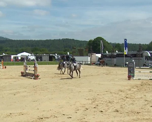 Reitturnier Detter 2016