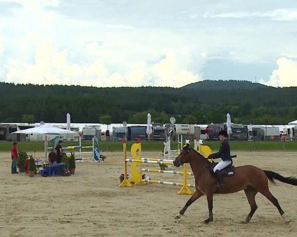 Reitturnier Detter 2016