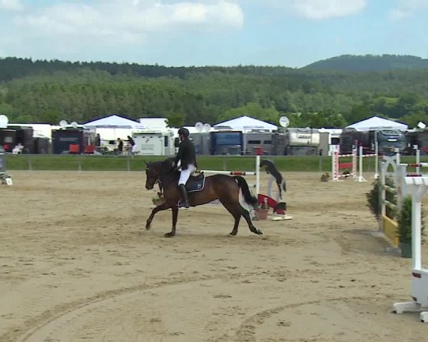 Reitturnier Detter 2016