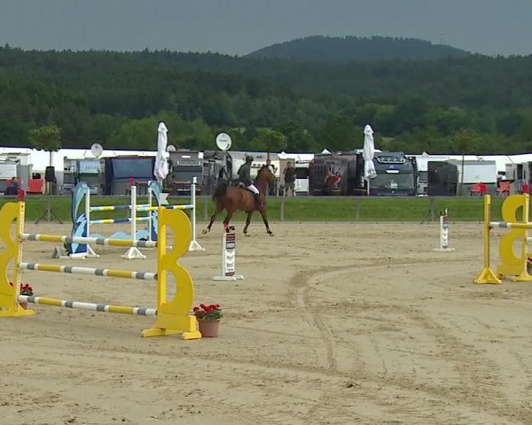 Reitturnier Detter 2016