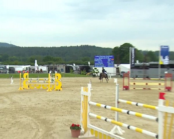 Reitturnier Detter 2016