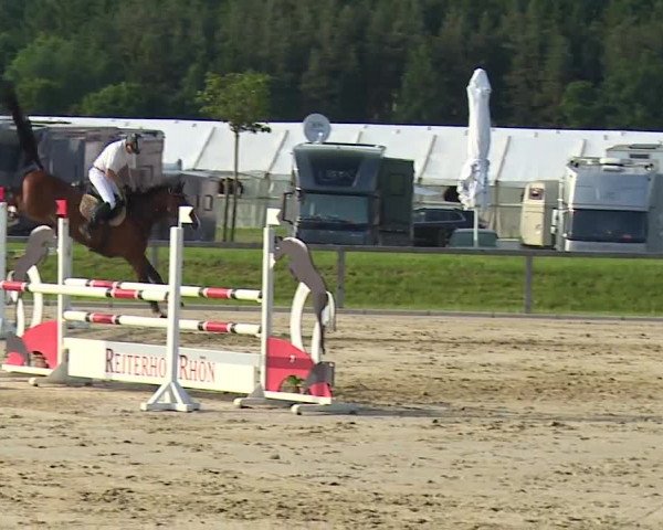 Reitturnier Detter 2016