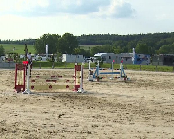 Reitturnier Detter 2016