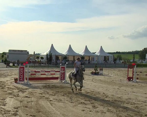 Reitturnier Detter 2016