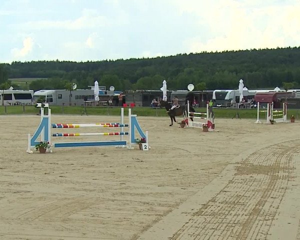 Reitturnier Detter 2016