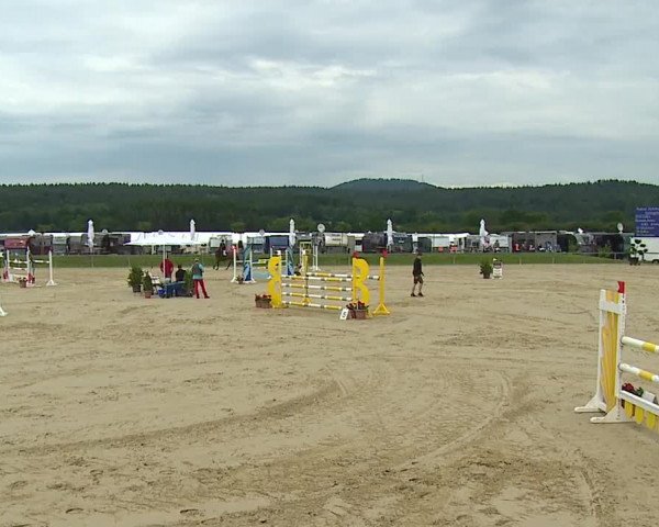 Reitturnier Detter 2016