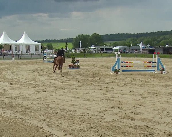 Reitturnier Detter 2016