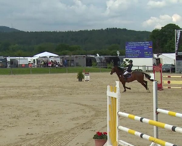 Reitturnier Detter 2016