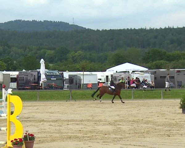 Reitturnier Detter 2016