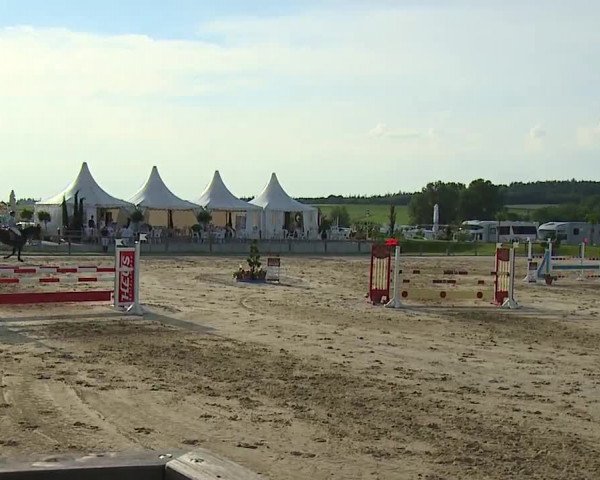 Reitturnier Detter 2016